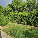 Vár-lak Apartman *