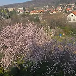 Apartman Vár-lak *