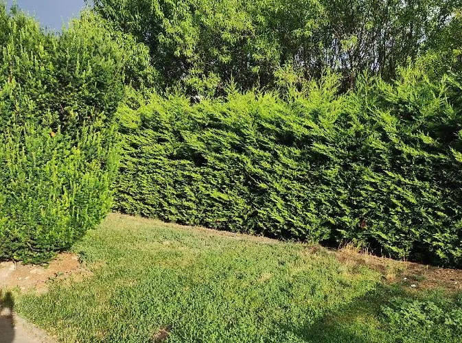 Var-lak Apartmanhaz Апартаменты *